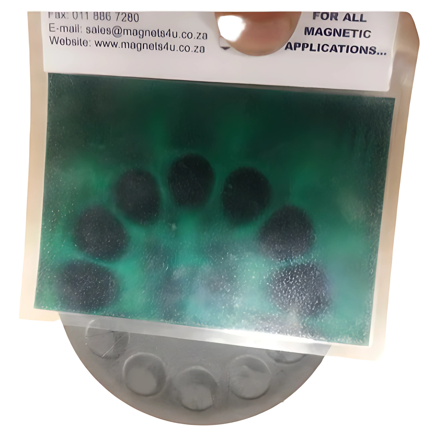 Magnetic Viewer - The Student - 50mm x 60mm-The Lecturer - 100mm x 45mm Magnets